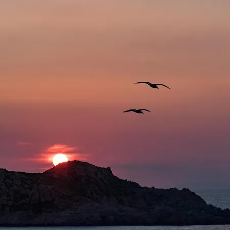 Couette-café Il Giardino Degli Ulivi