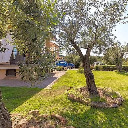 Il Giardino Degli Ulivi B&B 산타마리아