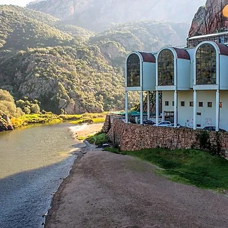 Il Giardino Degli Ulivi B&B